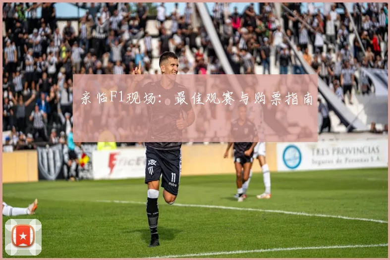 亲临F1现场：最佳观赛与购票指南