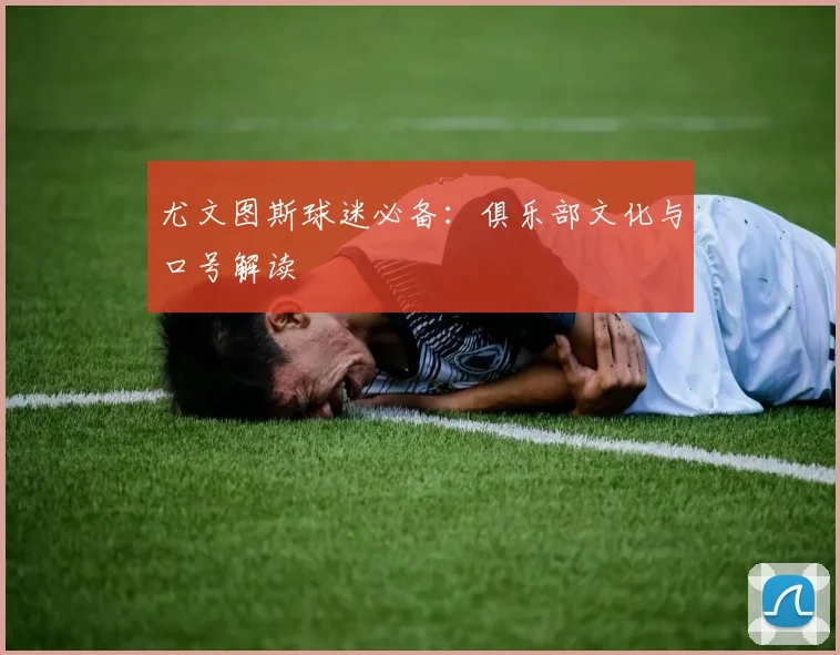 尤文图斯球迷必备：俱乐部文化与口号解读