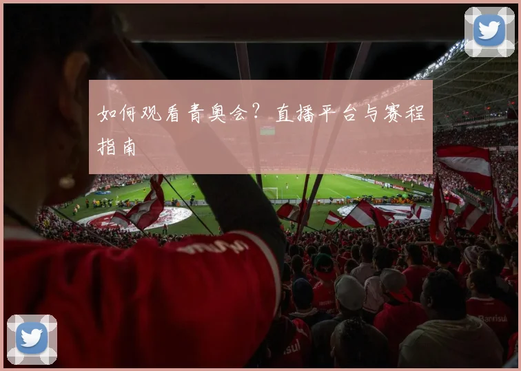 如何观看青奥会？直播平台与赛程指南